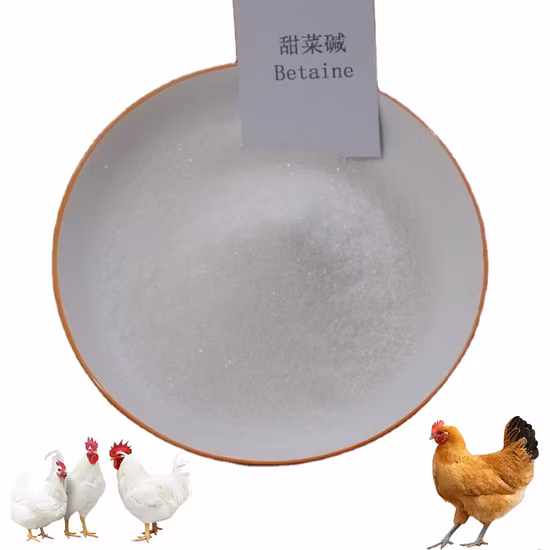 Feed Grade Amino Acid 98% Betaine Anhydrous