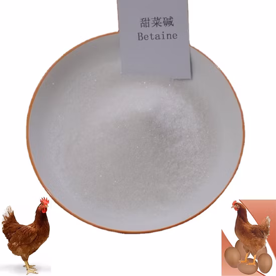 Feed Grade Amino Acid 98% Betaine Anhydrous
